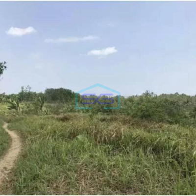 Dijual Tanah Harga Murah di Sobang Pandeglang Banten