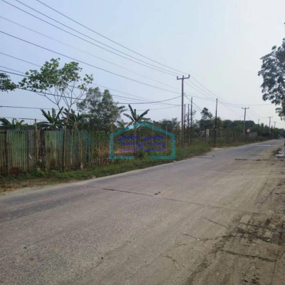 Dijual Tanah Harga Murah Cocok Untuk Gudang di Maja Rangkas