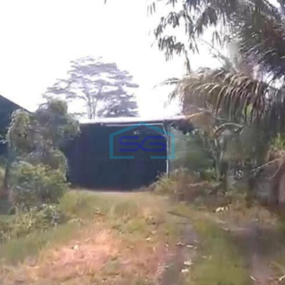 Dijual Gudang Siap Pakai Di Margasari Tigaraksa