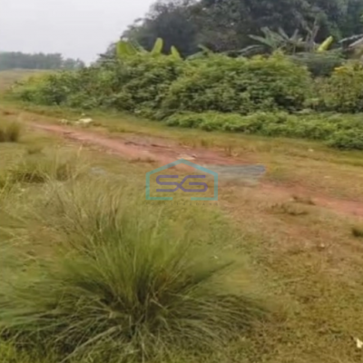 Dijual Tanah Cocok Untuk Investasi Di Tigaraksa Tangerang Luas 50 Ha