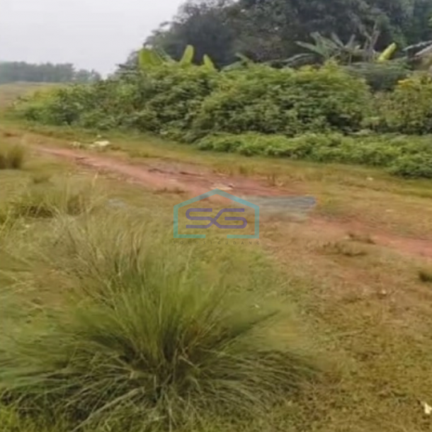 Dijual Tanah Cocok Untuk Investasi Di Tigaraksa Tangerang Luas 50 Ha-3