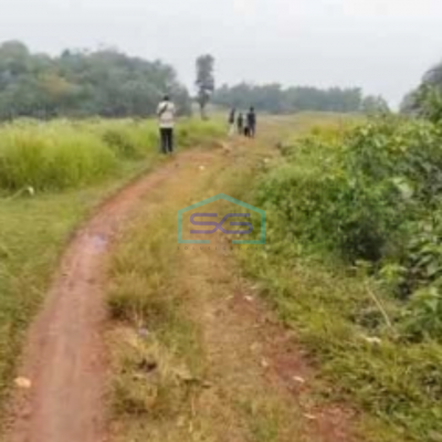 Dijual Tanah Cocok Untuk Investasi Di Tigaraksa Tangerang Luas 50 Ha