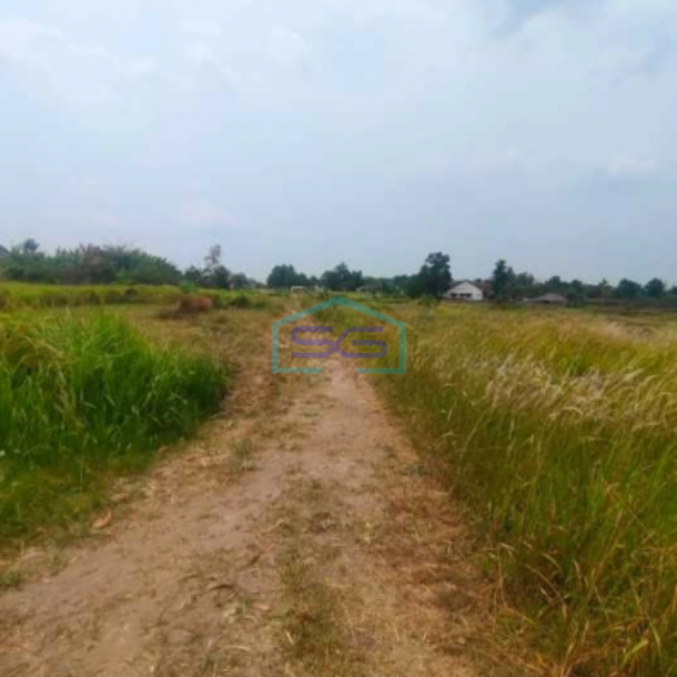 Dijual Tanah Strategis Cocok Investasi Di Tigaraksa Tangerang LT 1356m2-1