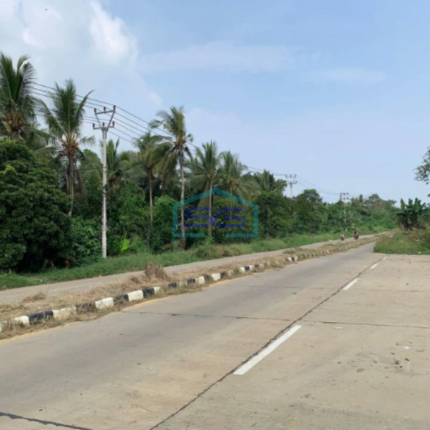 Dijual Cepat Tanah Siap Pakai Di Anyer Serang Banten Luas 1509m2-1