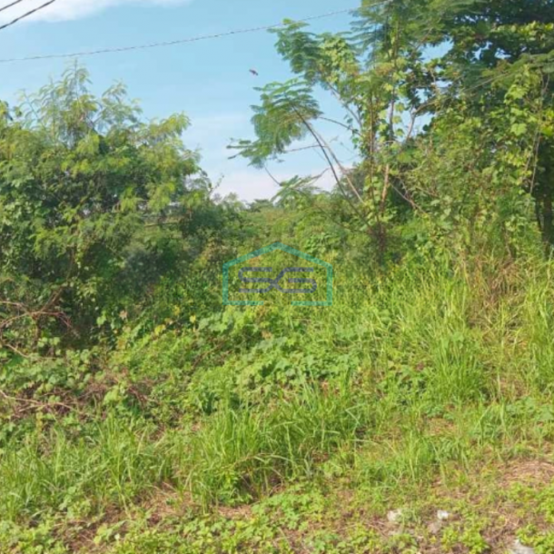 Dijual Tanah Kosong Cocok Untuk Investasi Di Cikande Serang Luas 10 Hektar-1