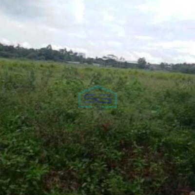 Dijual Tanah Lokasi Strategis Cocok Untuk Investasi di Cikande Serang Luas 11 Hektar