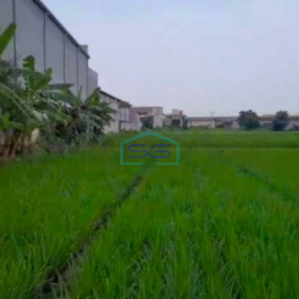 Dijual Tanah Siap Bangun Di Serang Banten Luas Tanah 8 Hektar-1