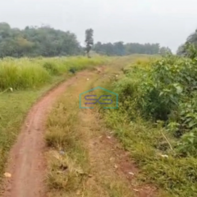 Dijual Tanah Cocok Untuk Investasi Di Tigaraksa Tangerang Luas Tanah  500000 m²