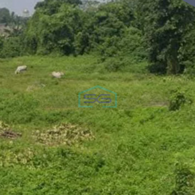 Dijual Tanah Daerah Curug Dekat Dengan Citra Raya Curug, Tangerang Luas Tanah  7300 m²