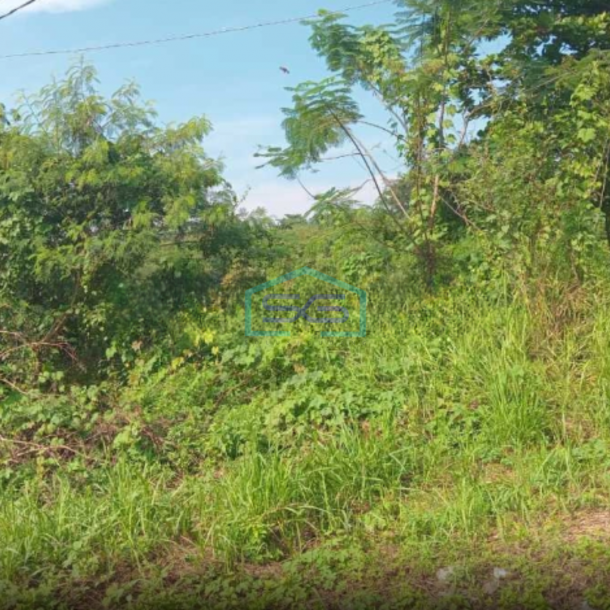 Dijual Tanah Kosong Cocok Untuk Investasi Di Cikande Luas Tanah  100000 m²-1