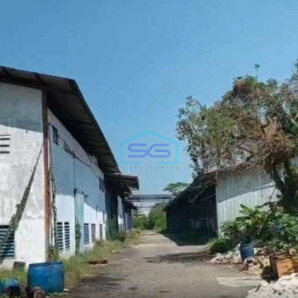 Dijual Pabrik Siap Huni Di Cikande Serang Banten Luas Bangunan  34722 m²-1