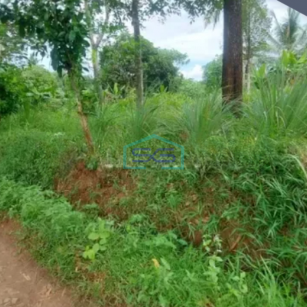 Dijual Tanah Darat Dekat Dengan Lahan Pengembang Agung Podomoro Group Luas Tanah  2235 m²-1