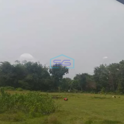 Dijual Tanah Darat Luas 2,5 Ha Di Mekarsari Daru Jambe Tangerang Luas Tanah  25405 m²