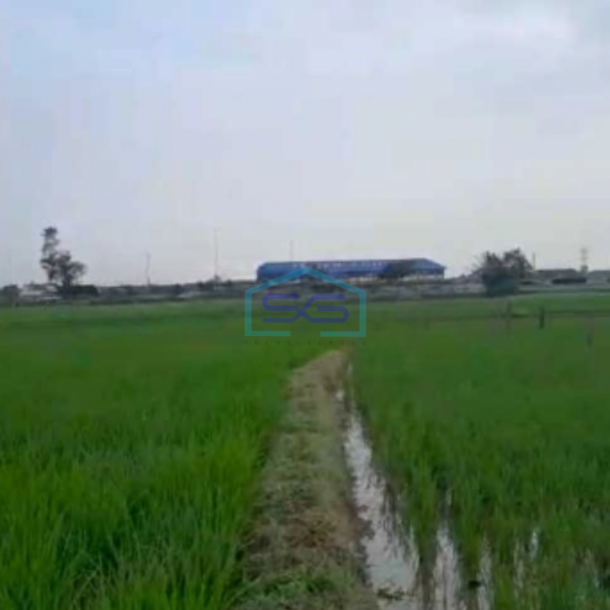 Dijual Tanah Siap Bangun Di Serang Banten Luas Tanah  80000 m²-2