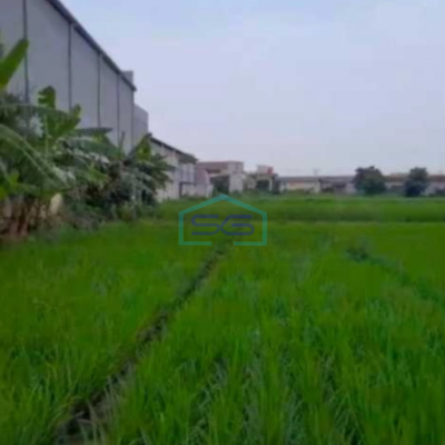 Dijual Tanah Siap Bangun Di Serang Banten Luas Tanah  80000 m²