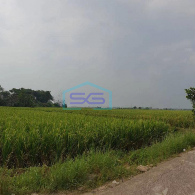 Dijual Kavling Bisa Untuk Perumahan Dan Gudang di Kawasan Nanjung