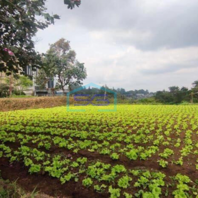 Dijual Kavling Harga Murah di Setiabudi Regency, Bandung