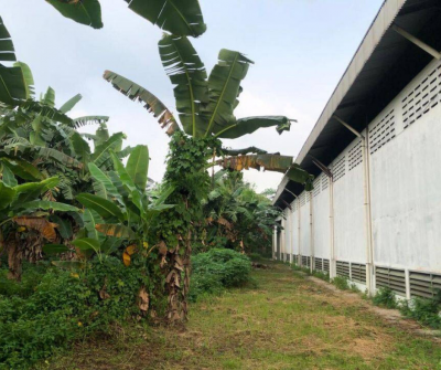 Disewakan Ex pabrik di cikupa dalam strategis akses kontener