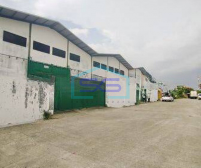 Gudang disewakan teluk naga