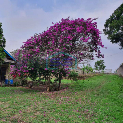 Dijual Tanah Mainroad Bisa Untuk Gudang di Parakan Muncang