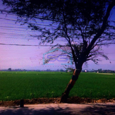 Dijual Tanah Cocok Untuk Gudang di Rancaekek Bandung