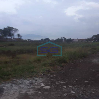 Dijual Tanah Sawah Bisa Untuk Gudang di Desa Jelegong Rancaekek