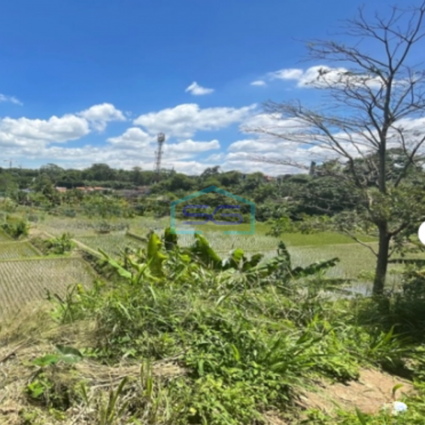 Dijual Tanah Dekat Kawasan Industri Dekat Tol Padalarang Cipeundeuy Bandung LT 27991m2-2