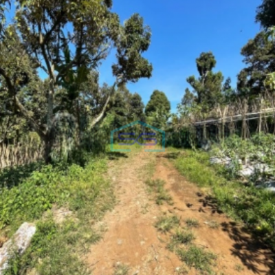 Dijual Tanah Strategis Di Ciumbuleuit Bandung Cocok Untuk Usaha LT 7000m2