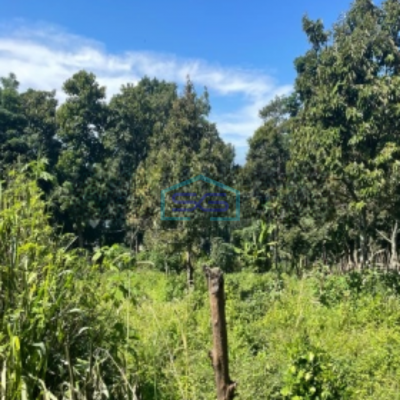 Dijual Tanah Strategis Di Ciumbuleuit Bandung Cocok Untuk Usaha LT 7000m2