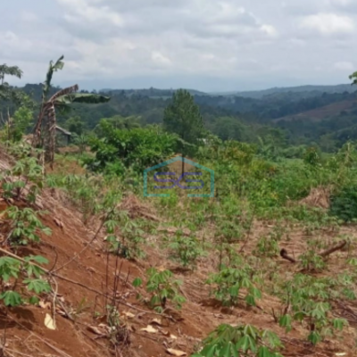 Dijual Tanah Strategis di Cibadak Sukabumi Luas Tanah 120000m2