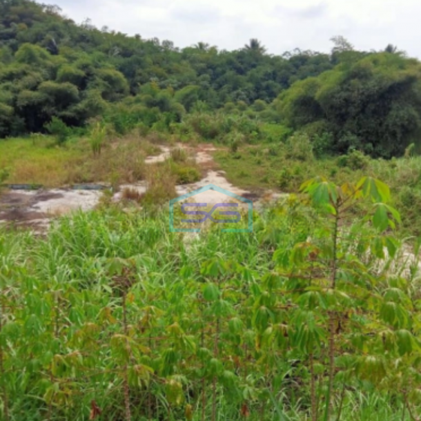 Dijual Tanah Strategis di Cibadak Sukabumi Luas Tanah 120000m2-3