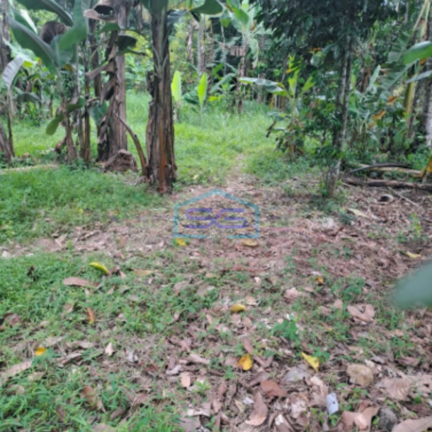 Dijual Tanah Lokasi di Cidokom Rumpin Bogor Luas 1115m2-2