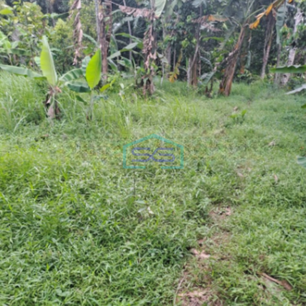 Dijual Tanah Lokasi di Cidokom Rumpin Bogor Luas 1115m2-1