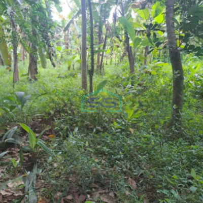 Dijual Tanah Lokasi di Cidokom Rumpin Bogor Luas 1115m2