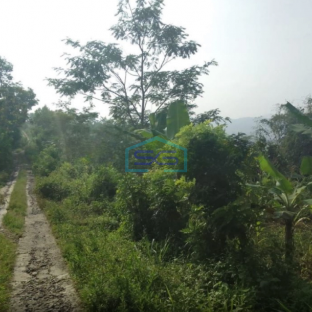 Dijual Tanah Sukaresmi Cianjur Lokasi Strategis LT 350000m2-3