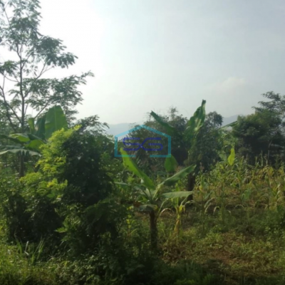 Dijual Tanah Sukaresmi Cianjur Lokasi Strategis LT 350000m2