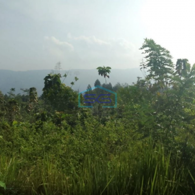 Dijual Tanah Sukaresmi Cianjur Lokasi Strategis LT 350000m2