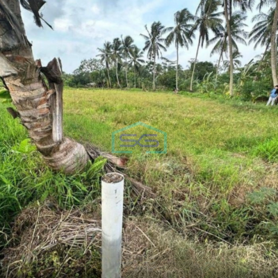 Dijual Tanah di Pandeglang Banten Luas Tanah 43800m2