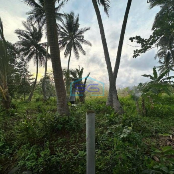 Dijual Tanah di Pandeglang Banten Luas Tanah 43800m2-2