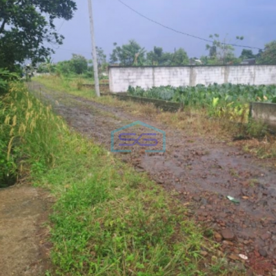 Dijual Tanah Di Ciampea Bogor Luas Tanah 1040m2 SHM