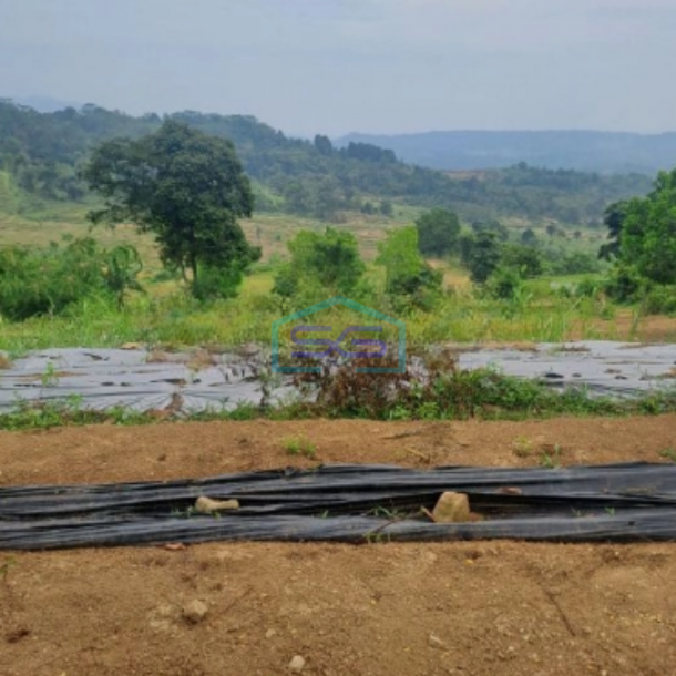 Dijual Tanah Sukaresmi Sukamakmur Bogor Luas Tanah 540000m2-4