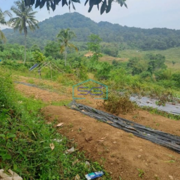 Dijual Tanah Sukaresmi Sukamakmur Bogor Luas Tanah 540000m2-1