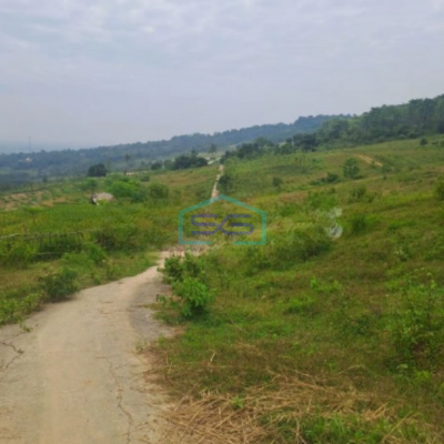 Dijual Tanah Sukaresmi Sukamakmur Bogor Luas Tanah 540000m2