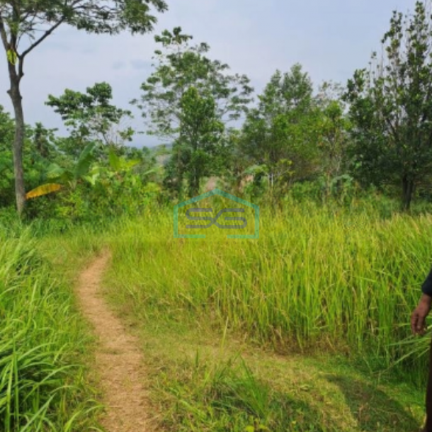 Dijual Tanah Datar Sangat Bagus di Desa Karya Mekar Cariu Bogor LT 18000m2-1