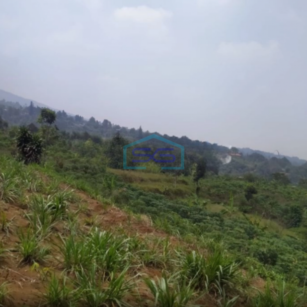Dijual Tanah di Tugu Jaya Cigombong Bogor Luas Tanah 31000m2-2
