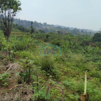 Dijual Tanah di Tugu Jaya Cigombong Bogor Luas Tanah 31000m2