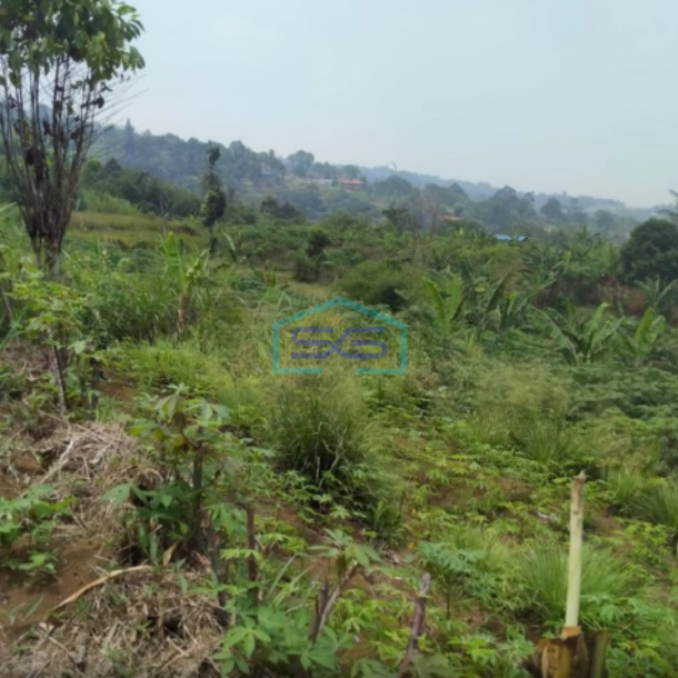 Dijual Tanah di Tugu Jaya Cigombong Bogor Luas Tanah 31000m2-1
