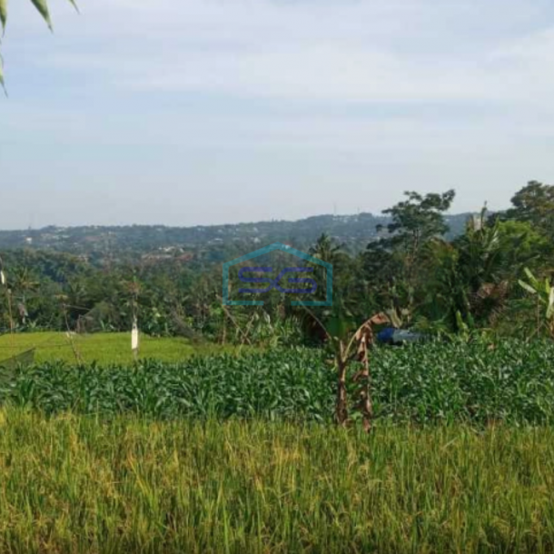 Dijual Tanah Puncak Bogor Cisarua Jawa Barat Luas Tanah 75000m2-1