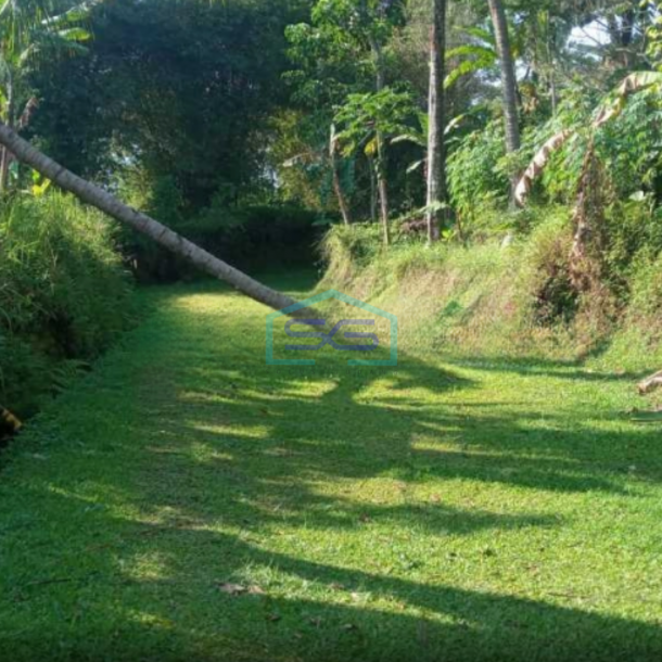 Dijual Tanah Puncak Bogor Cisarua Jawa Barat Luas Tanah 75000m2-3