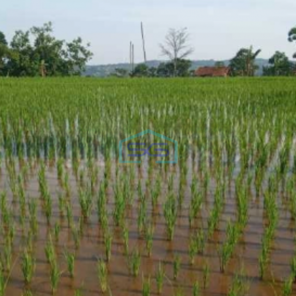 Dijual Tanah Puncak Bogor Cisarua Jawa Barat Luas Tanah 75000m2-2